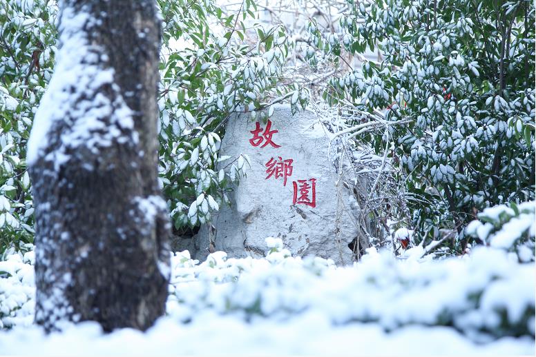 厂区一角