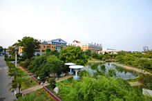 绿色厂区